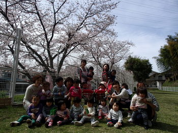 280406　お花見園庭 (2).JPG